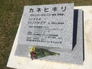 5F43AA89-4A91-4651-A610-BA1BB10D98F6.jpg