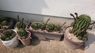 DSC_1406.JPG