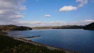 DSC_2102.JPG