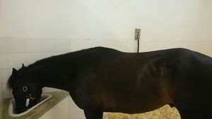 1459048192119.jpg